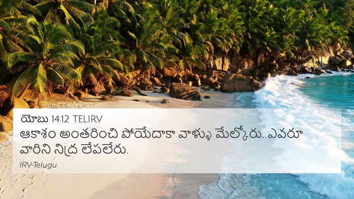 యోబు 14:12 TELIRV Bible Verse Image