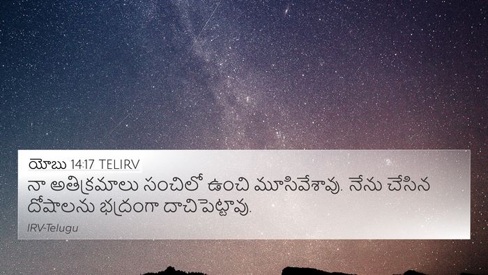 యోబు 14:17 TELIRV Bible Verse Image