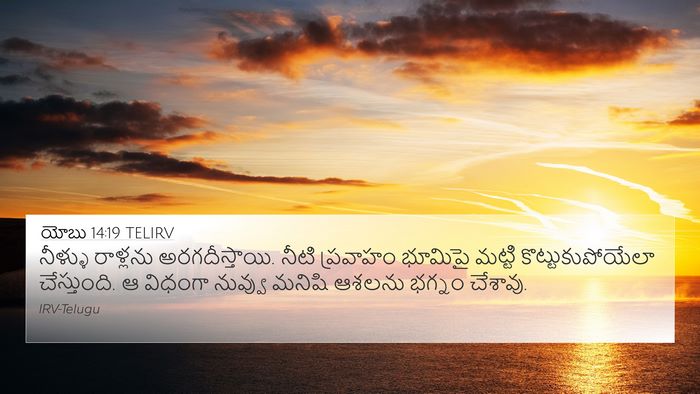 యోబు 14:19 TELIRV Bible Verse Image