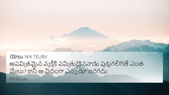 యోబు 14:4 TELIRV Bible Verse Image
