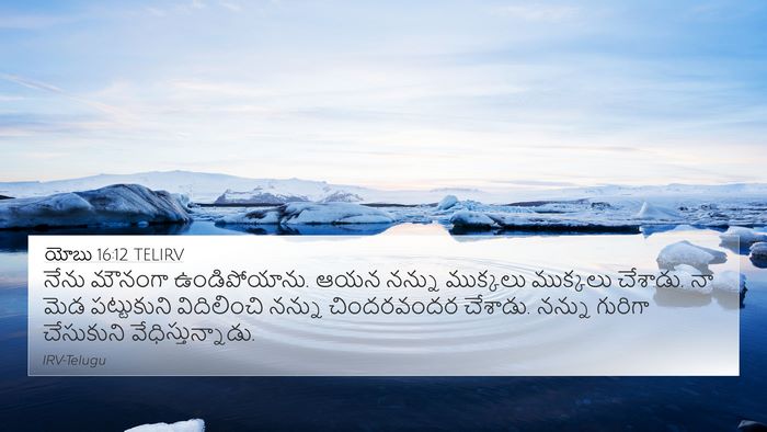 యోబు 16:12 TELIRV Bible Verse Image