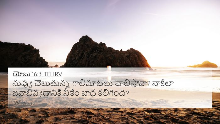 యోబు 16:3 TELIRV Bible Verse Image