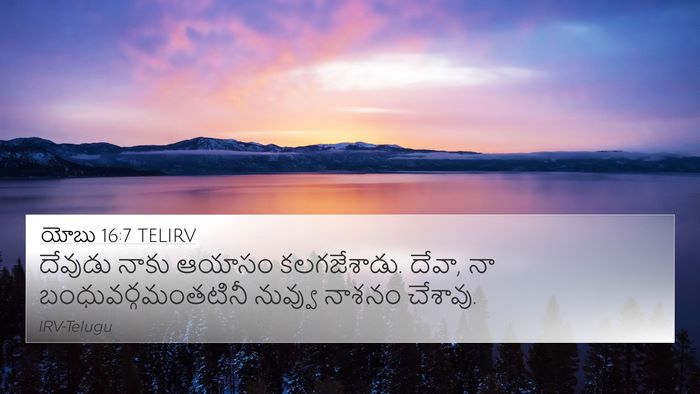 యోబు 16:7 TELIRV Bible Verse Image