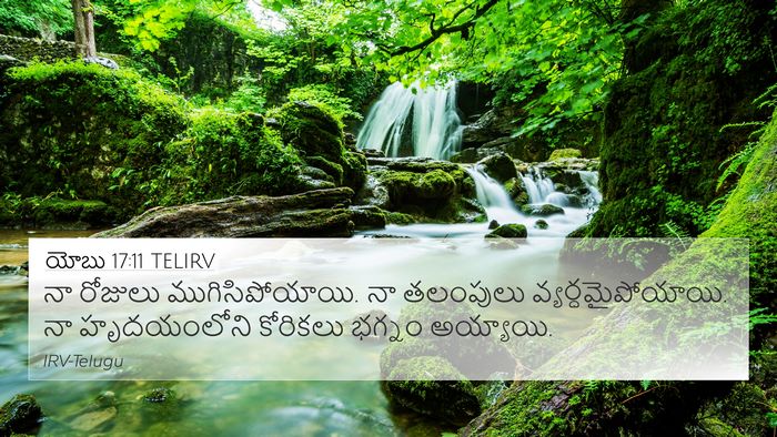 యోబు 17:11 TELIRV Bible Verse Image