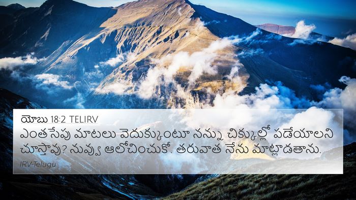 యోబు 18:2 TELIRV Bible Verse Image