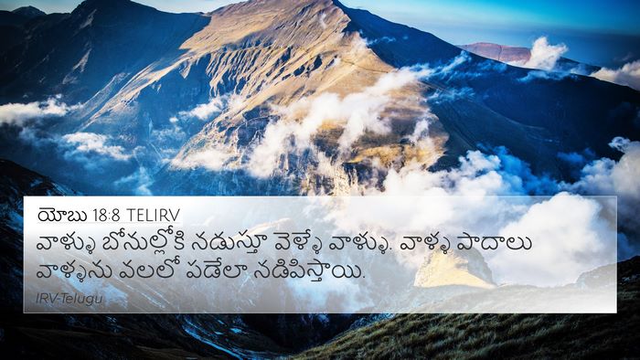 యోబు 18:8 TELIRV Bible Verse Image