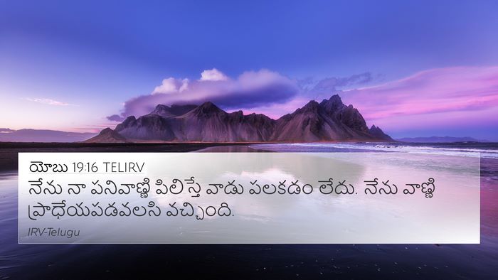 యోబు 19:16 TELIRV Bible Verse Image