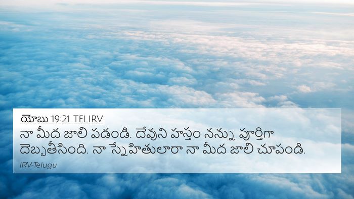 యోబు 19:21 TELIRV Bible Verse Image