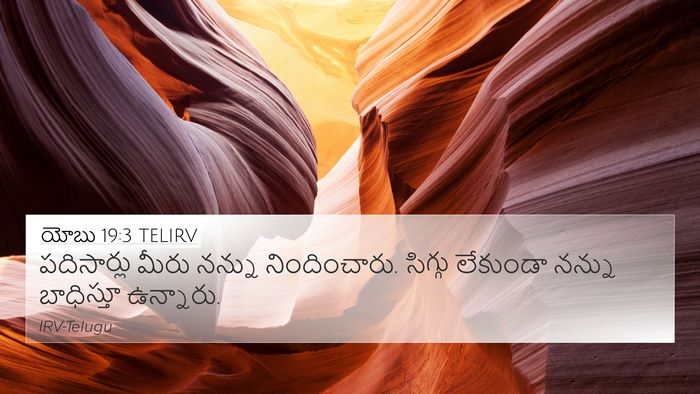 యోబు 19:3 TELIRV Bible Verse Image