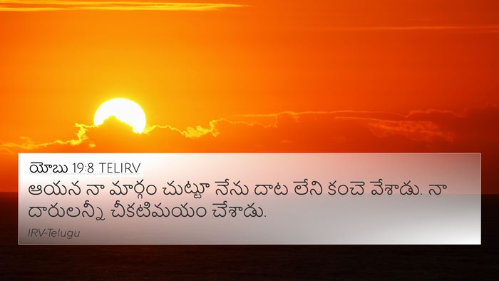 యోబు 19:8 TELIRV Bible Verse Image