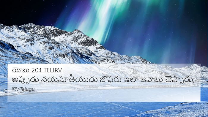 యోబు 20:1 TELIRV Bible Verse Image