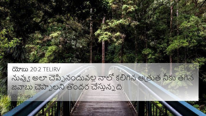 యోబు 20:2 TELIRV Bible Verse Image