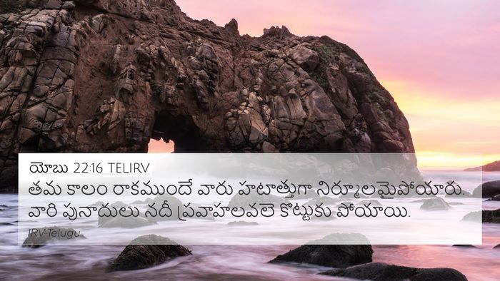 యోబు 22:16 TELIRV Bible Verse Image