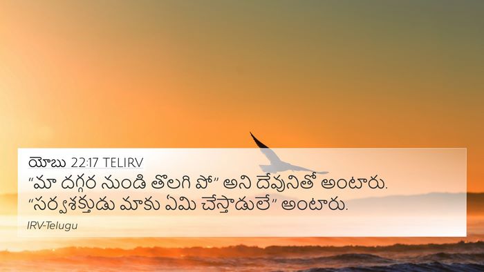 యోబు 22:17 TELIRV Bible Verse Image