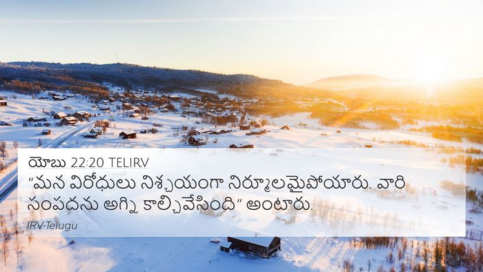యోబు 22:20 TELIRV Bible Verse Image