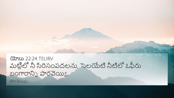 యోబు 22:24 TELIRV Bible Verse Image