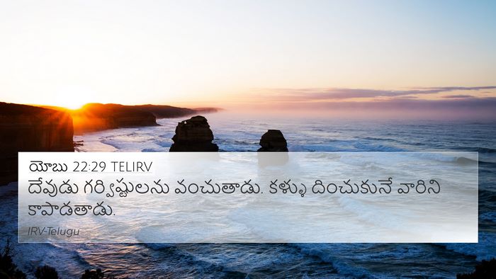 యోబు 22:29 TELIRV Bible Verse Image