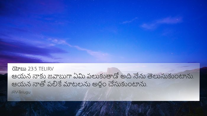 యోబు 23:5 TELIRV Bible Verse Image