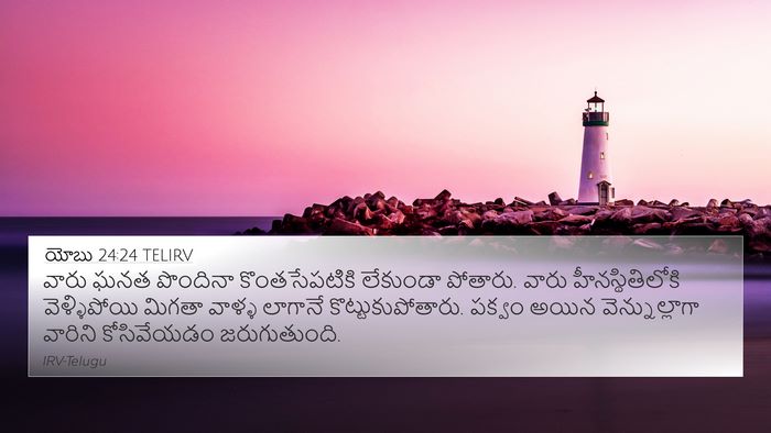 యోబు 24:24 TELIRV Bible Verse Image