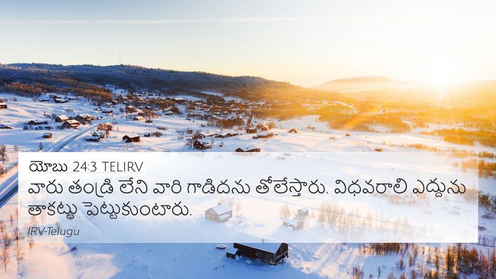 యోబు 24:3 TELIRV Bible Verse Image