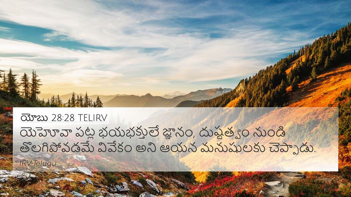 యోబు 28:28 TELIRV Bible Verse Image