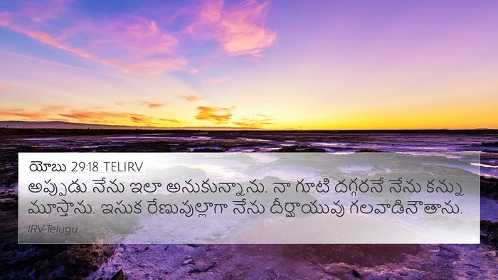 యోబు 29:18 TELIRV Bible Verse Image