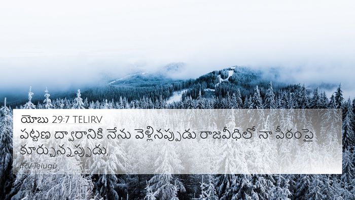 యోబు 29:7 TELIRV Bible Verse Image