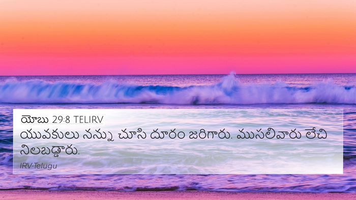 యోబు 29:8 TELIRV Bible Verse Image