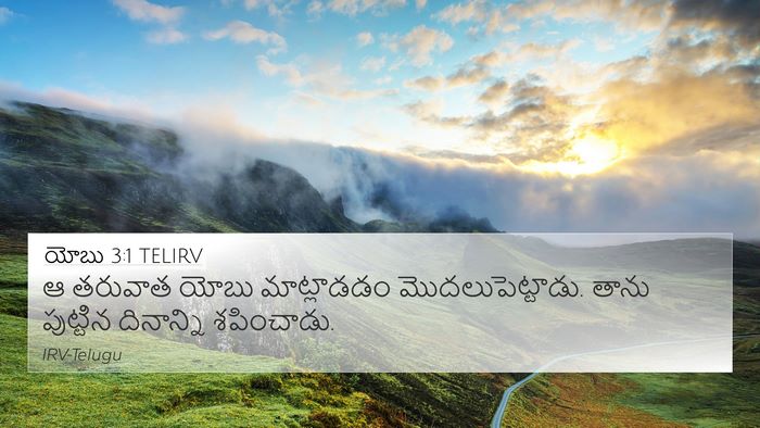 యోబు 3:1 TELIRV Bible Verse Image