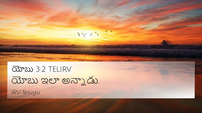 యోబు 3:2 TELIRV 4K Wallpaper - యోబు ఇలా - 4K Wallpaper Bible Verse