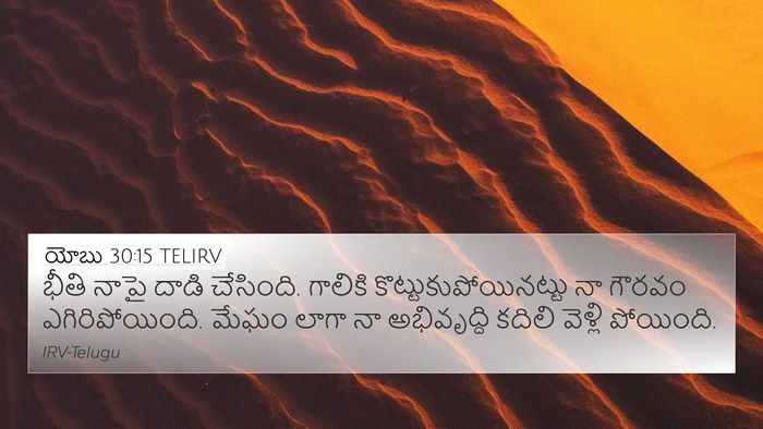 యోబు 30:15 TELIRV Bible Verse Image