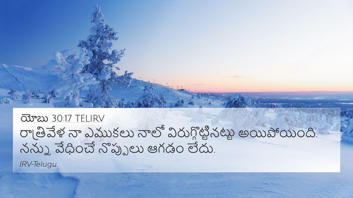 యోబు 30:17 TELIRV Bible Verse Image