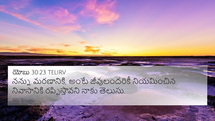 యోబు 30:23 TELIRV Bible Verse Image