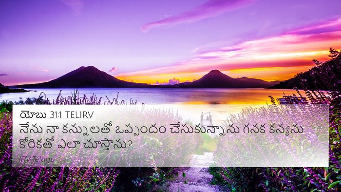 యోబు 31:1 TELIRV Bible Verse Image