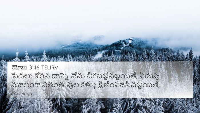 యోబు 31:16 TELIRV Bible Verse Image