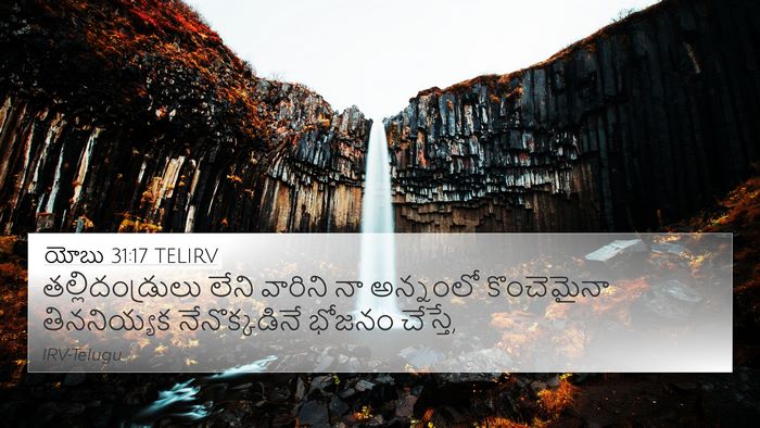 యోబు 31:17 TELIRV Bible Verse Image
