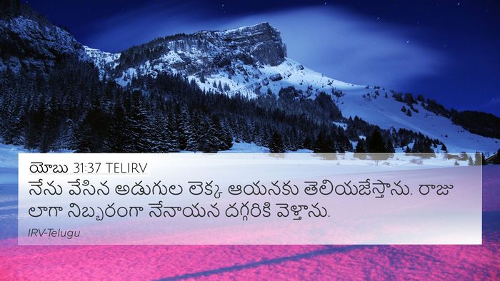 యోబు 31:37 TELIRV Bible Verse Image