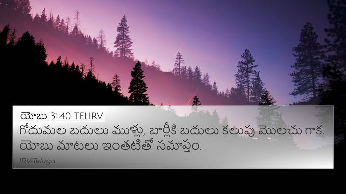 యోబు 31:40 TELIRV Bible Verse Image