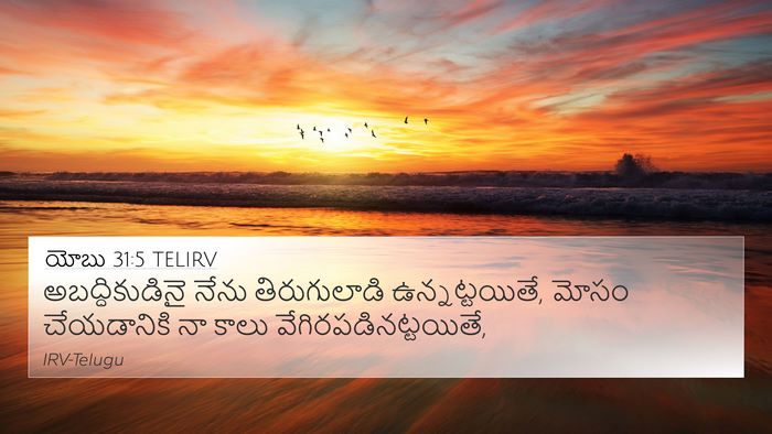 యోబు 31:5 TELIRV 4K Wallpaper - అబద్ధికుడినై నేను - 4K Wallpaper Bible Verse