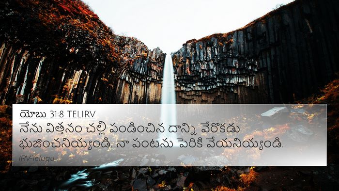 యోబు 31:8 TELIRV Bible Verse Image