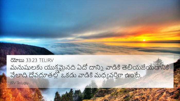 యోబు 33:23 TELIRV Bible Verse Image