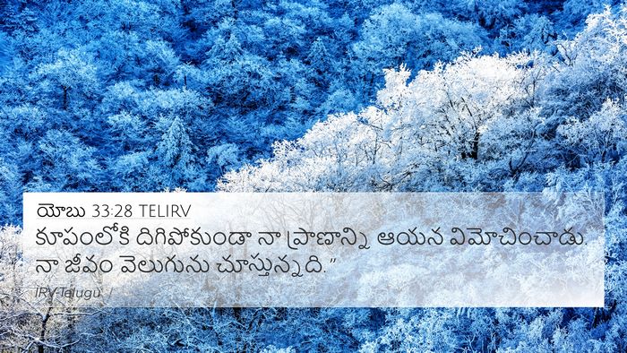 యోబు 33:28 TELIRV Bible Verse Image