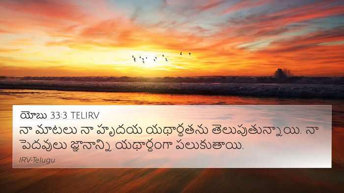 యోబు 33:3 TELIRV Bible Verse Image