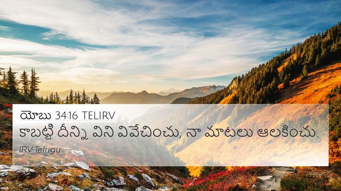 యోబు 34:16 TELIRV Bible Verse Image