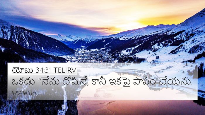 యోబు 34:31 TELIRV Bible Verse Image
