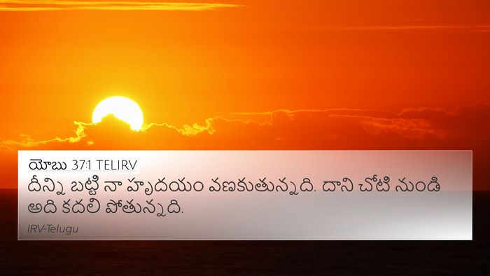 యోబు 37:1 TELIRV Bible Verse Image