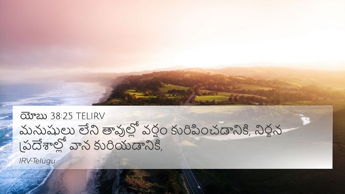 యోబు 38:25 TELIRV Bible Verse Image
