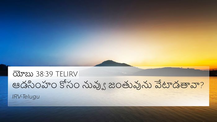 యోబు 38:39 TELIRV Bible Verse Image