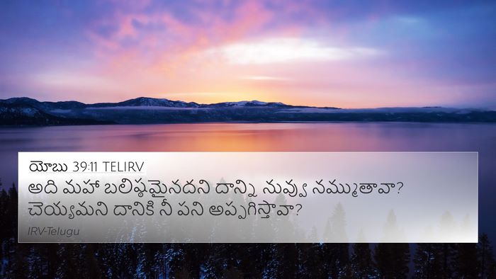యోబు 39:11 TELIRV 4K Wallpaper - అది మహా - 4K Wallpaper Bible Verse