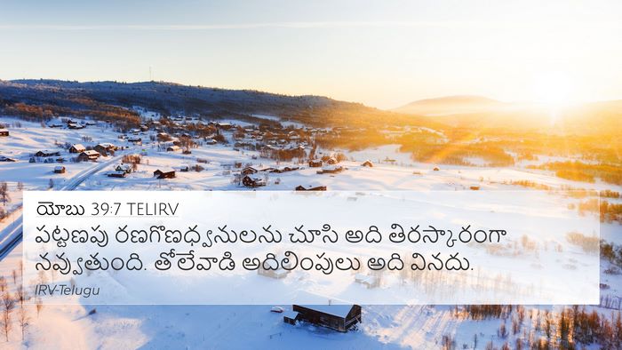 యోబు 39:7 TELIRV 4K Wallpaper - పట్టణపు - 4K Wallpaper Bible Verse